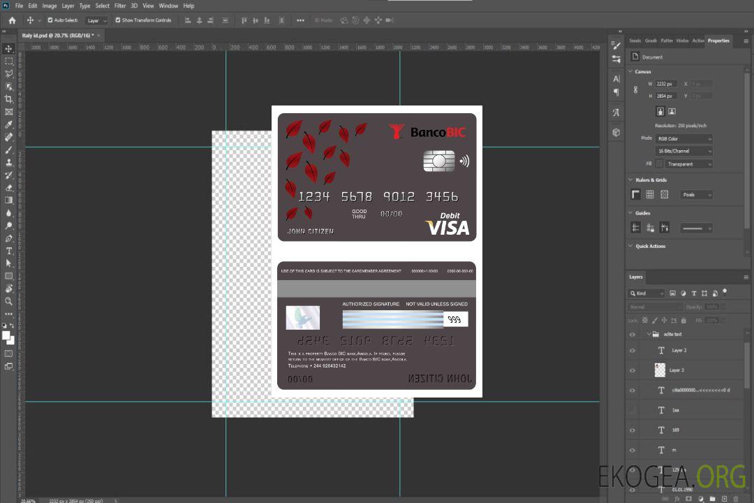 Carte visa bancaire Angola Banco BIC template Carte visa bancaire Angola Banco BIC template